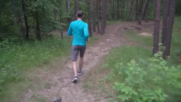 スローモーションの白人選手は灰色の短パンと森の中を走る青い長袖健康的なライフスタイルの概念 — ストック動画
