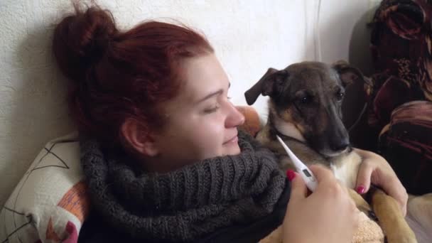 躺在毯子下的生病的女孩躺在沙发上 忍受着体温 抱着和吻着狗 的概念 — 图库视频影像