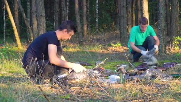 Freiwillige räumen Müll im Wald auf — Stockvideo