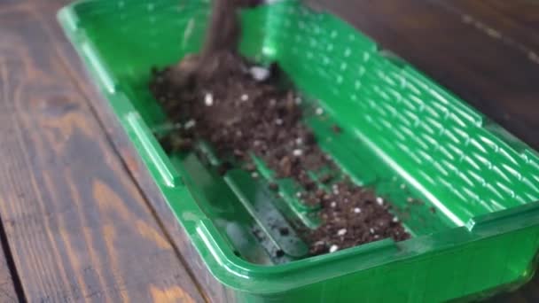 Руки залить землю из мешка в пластиковый контейнер для саженцев — стоковое видео