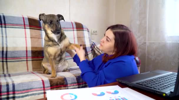 O cão dá à menina uma pata sentada no sofá. Trabalhando em casa no caderno — Vídeo de Stock