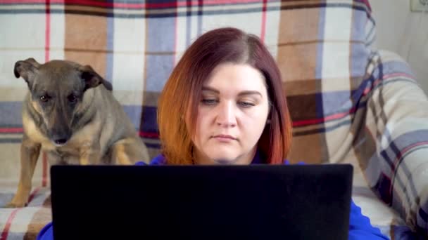 3.女孩在家里的笔记本电脑上工作，而狗则坐在沙发上 — 图库视频影像