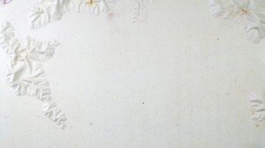 Eski boyanın metal bir levhadan kimyasal olarak çıkarılması.