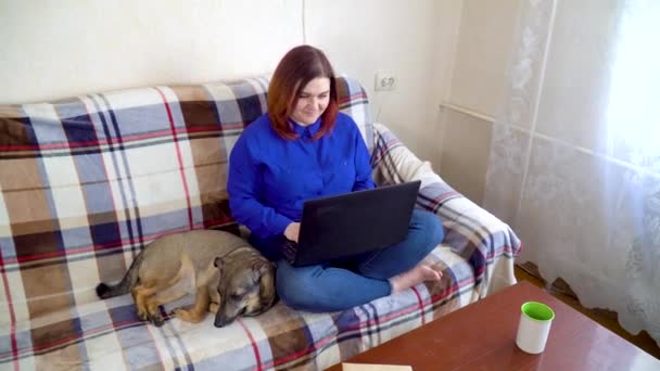 年轻的高加索女性自由职业者在家里的沙发上与笔记本电脑一起工作 旁边躺着一只杂种狗 — 图库视频影像
