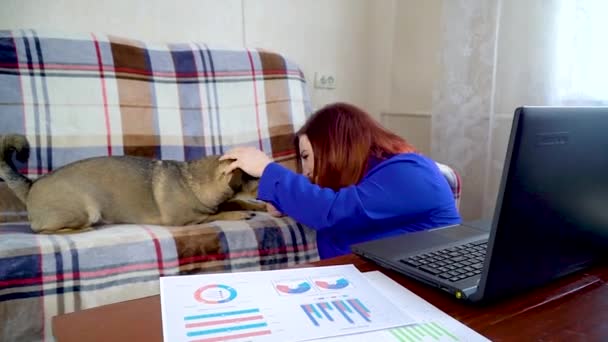 Mädchen spielt in der Arbeitspause zu Hause mit Hund für Laptop — Stockvideo