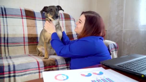 Chica arañazos perro en casa durante el descanso en el trabajo para el ordenador portátil — Vídeo de stock