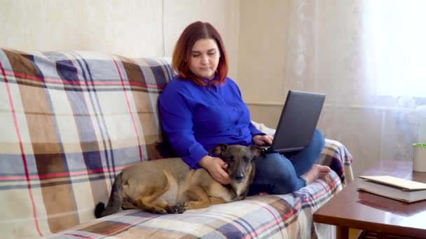 Menina freelancer trabalhando em um laptop enquanto sentado em um sofá em casa — Vídeo de Stock