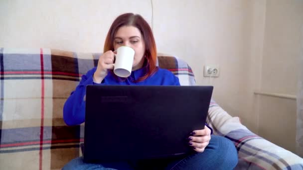女孩坐在笔记本电脑后面，坐在沙发上，在家喝咖啡或茶 — 图库视频影像