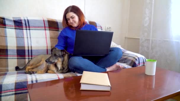 自由撰稿人女孩坐在家里沙发上，在笔记本电脑上工作 — 图库视频影像