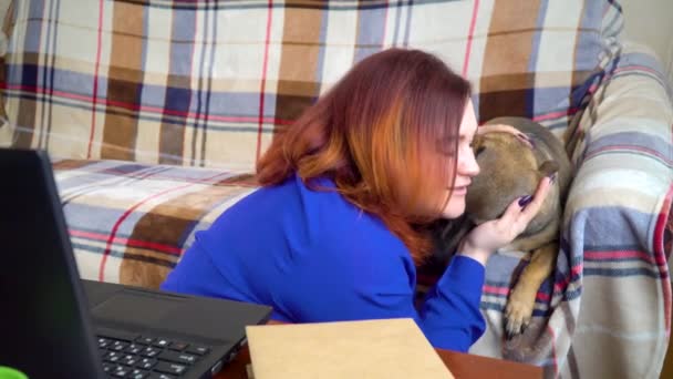 Lány karmolja kutya otthon szünetben a munka a laptop — Stock videók