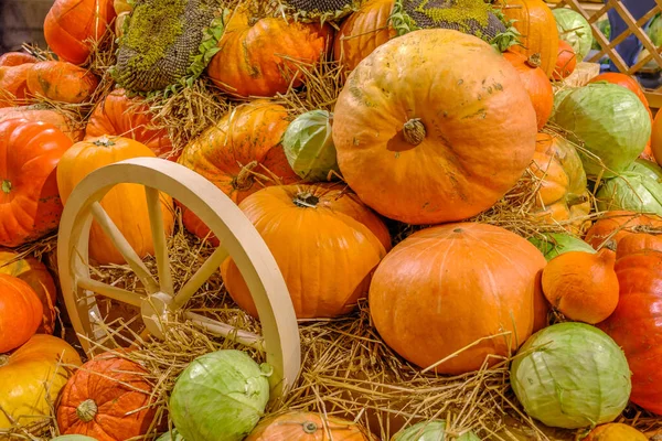 Pile Tök Szénán Őszi Betakarítás Után Vár Halloween Ünnep — Stock Fotó