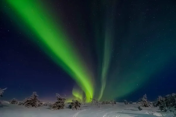 북극권 한계선 너머에 북극권 북극광 극광으로 도알려져 — 스톡 사진