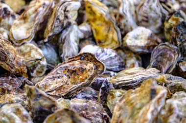 Piyasada bir yığın taze istiridye var. Görüntüyü kapat.