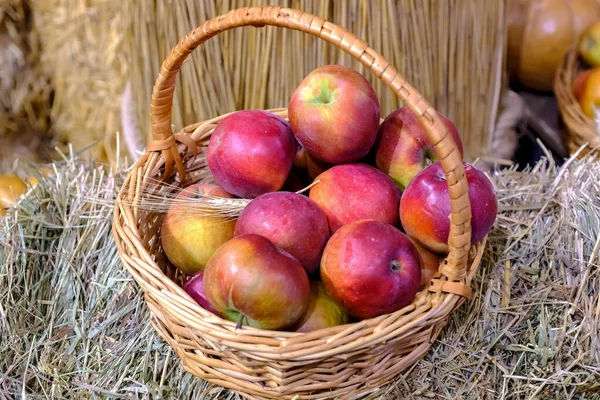 Ripe Red Apples Wicker Basket Hay — Stock Photo, Image