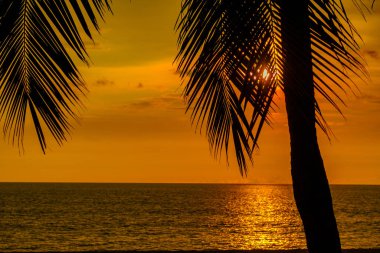 Arkaplanda hindistan cevizi palmiyesi ile gökyüzünün turuncu renkli günbatımı