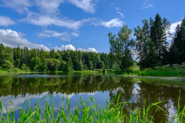 Göl manzaralı güzel bir yaz manzarası. Mavi gökyüzü ve beyaz bulutlar..