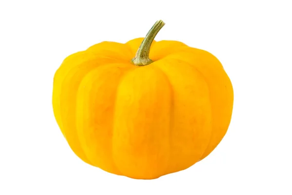 Pequeña Calabaza Amarilla Decorativa Aislada Sobre Fondo Blanco —  Fotos de Stock