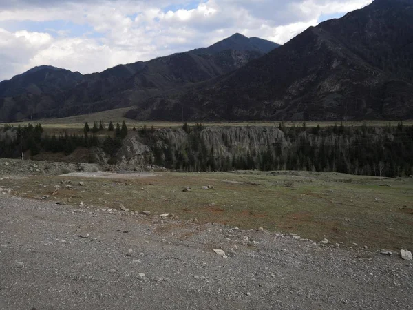 Landschaft Natur Des Gorny Altai — Stockfoto