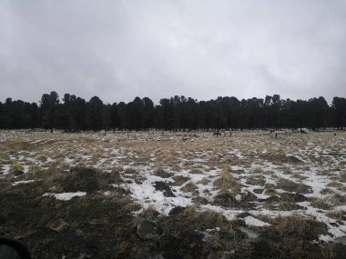 Altay Cumhuriyeti'nin İlahi Güzelliği