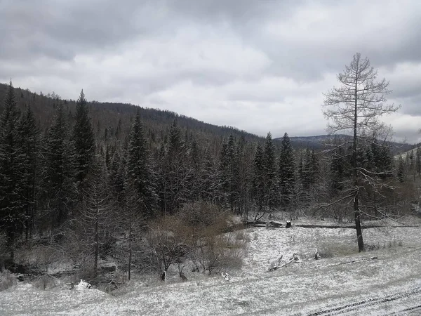 Altay Cumhuriyeti Nin Lahi Güzelliği — Stok fotoğraf