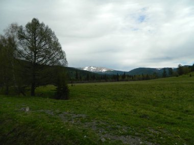 Altay Cumhuriyeti'nin doğal güzelliği