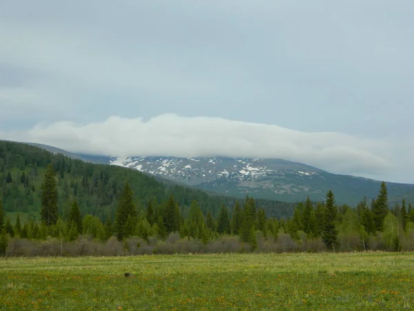 Natural Beauty Altai Republic — Stock Photo, Image