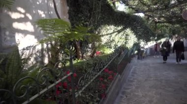 Positano yeşil sokakta Asyalı turist grubu