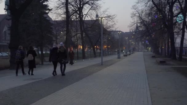 Młodzi spacerują po mglistej promenadzie we Wrocławiu — Wideo stockowe