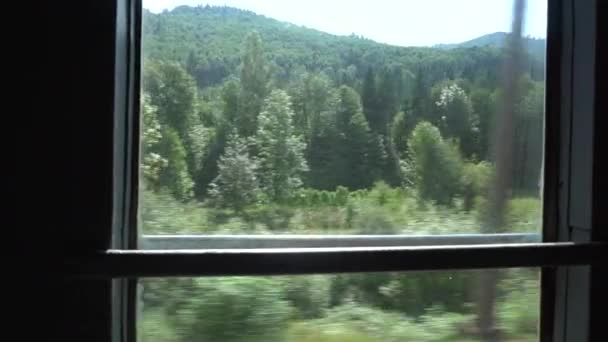 Widok krajobrazu z okna ruchomej pociągu — Wideo stockowe