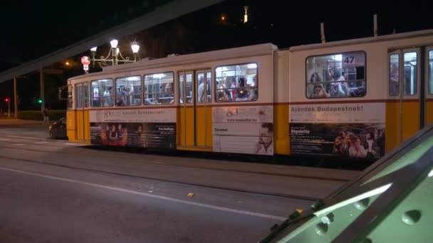 Spårvagn på Liberty Bridge i Budapest — Stockvideo