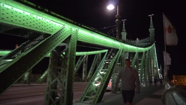 부다페스트에서 밤에 조명 자유 다리 — 비디오
