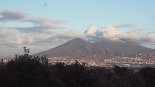Monte Vesúvio ao pôr-do-sol e árvores — Vídeo de Stock