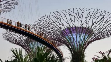 Bay tarafından bahçelerin içinde OCBC Skyway insanlar