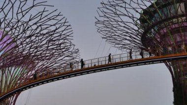 Dev süper ağaçlar ve OCBC Skyway