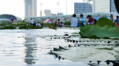Singapur Sanat Bilimleri Müzesi yakınında gölet ve bulanık insanlar