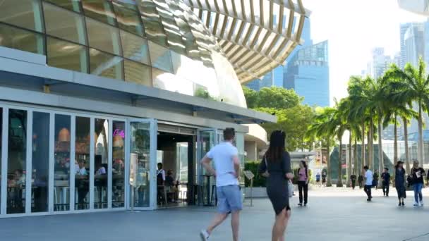 Les gens marchent près des boutiques et du musée ArtScience à Marina Bay Sands — Video