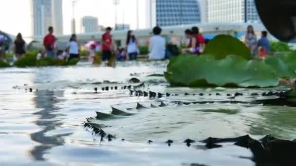 Personas borrosas y estanque de nenúfares en primer plano en Singapur — Vídeo de stock