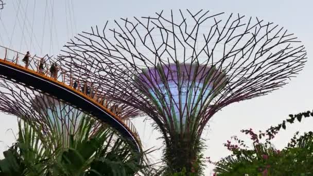 Människor på Skyway och Supertrees på bakgrunden i Gardens by the Bay i Singapore — Stockvideo