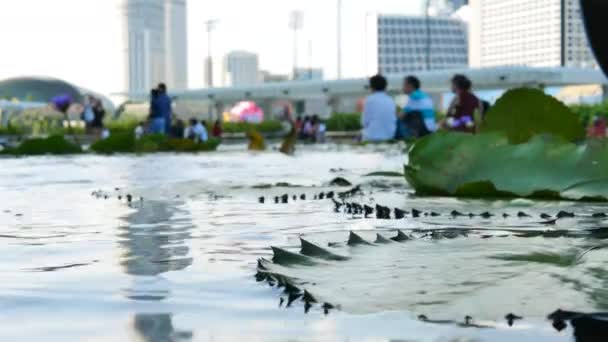Almohadillas Lilly en el estanque en primer plano y personas borrosas cerca de Marina Bay Sands ArtScience Museum — Vídeos de Stock