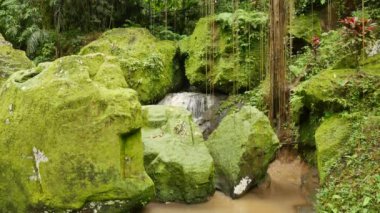 Parlak yeşil yosun ve su akışı ile kaplı büyük kayalar