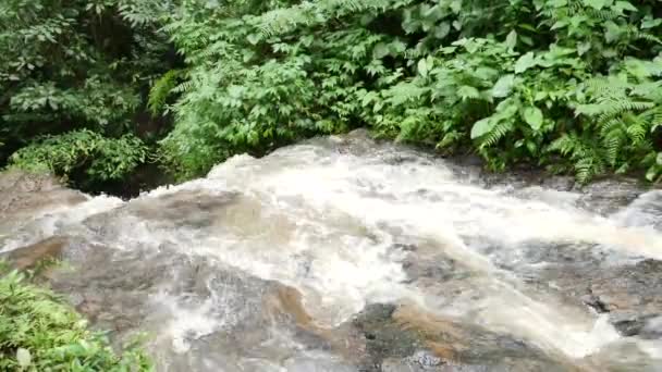 Vodopád obklopený zelenými stromy na Bali — Stock video