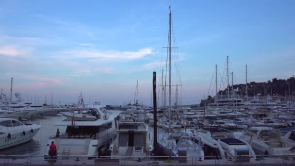 Yachts in the evening in Monaco — Stock Video