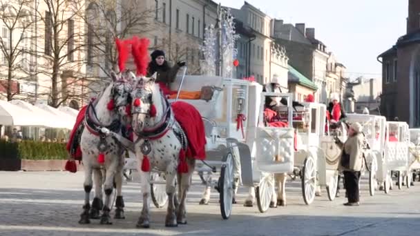 Femme dans la voiture invite les touristes pour un tour — Video