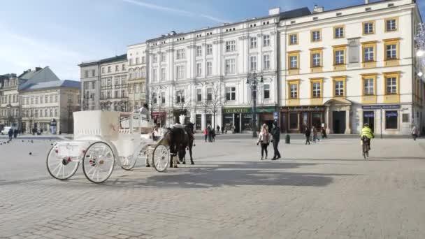 Carruaje de caballos blancos en la Plaza del Mercado — Vídeos de Stock