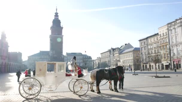 Carruaje de caballos blancos en la Plaza del Mercado de Cracovia — Vídeos de Stock