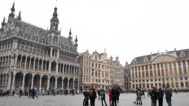 The brussels grand place - Pfanne von rechts — Stockvideo