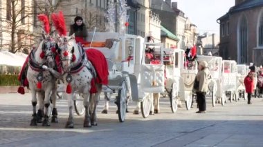 Arabada kadın bir yolculuk için turist davet - Handheld