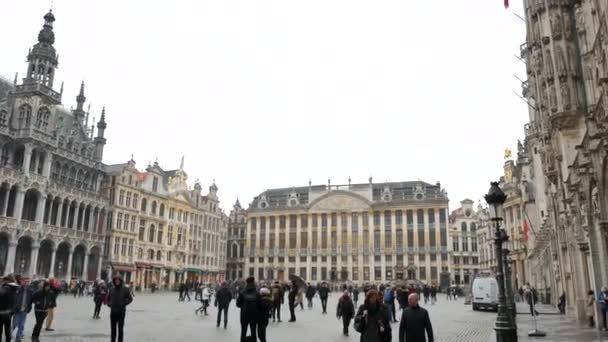 Banderas en la Grand Place de Bruselas - Pan e inclinación — Vídeo de stock