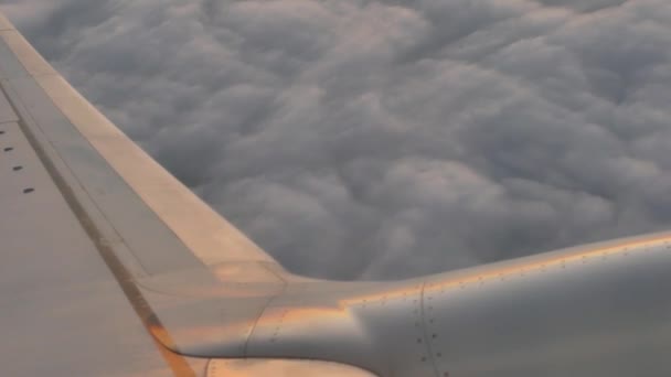 Flygplan Wing närbild på molnigt himlen — Stockvideo