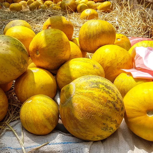 Gulgula meloner på en bondemarknad — Stockfoto